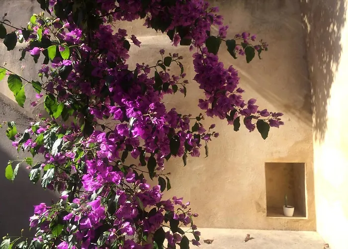 Sobre Ribas 2|12 Lägenhet Coimbra